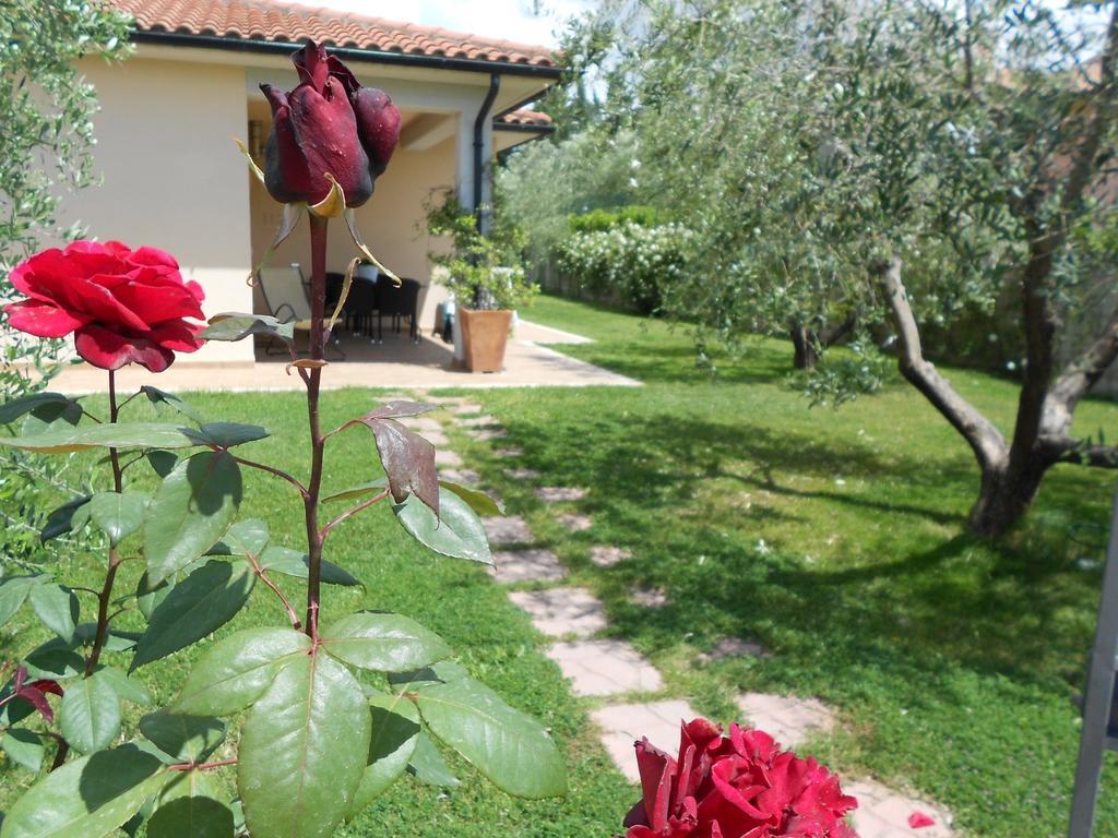 Poggio Degli Olivi Guest House Saturnia Exterior photo